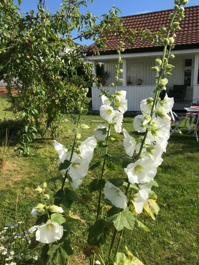 Oslofjordens Perle Hotel Naersnes Esterno foto